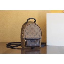 루이비통 팜 스프링스 백팩  M42411 H5