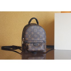 루이비통 팜 스프링스 백팩  M44873 H5