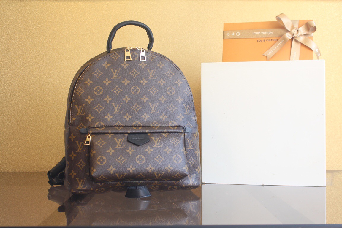 루이비통 팜 스프링스 백팩  M44874 H5