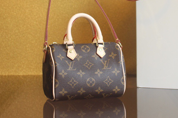 루이비통 나노 스피디 모노그램 M61252 H5