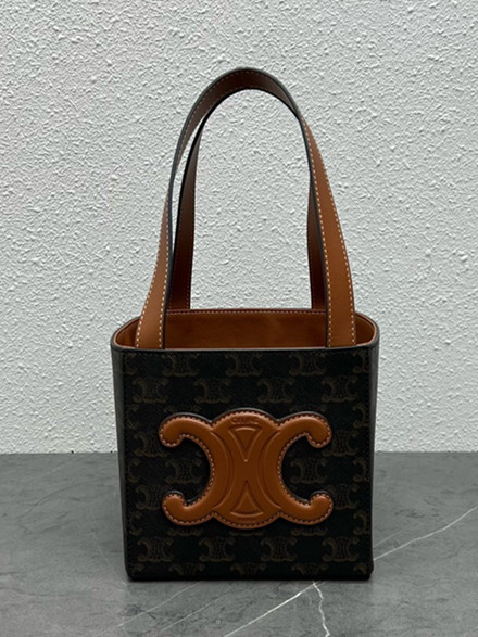 셀린느 트라이엄프 캔버스 큐브백 199202 H6