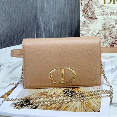 크리스챤 디올 투인원 몽테인 파우치  S2086 LI