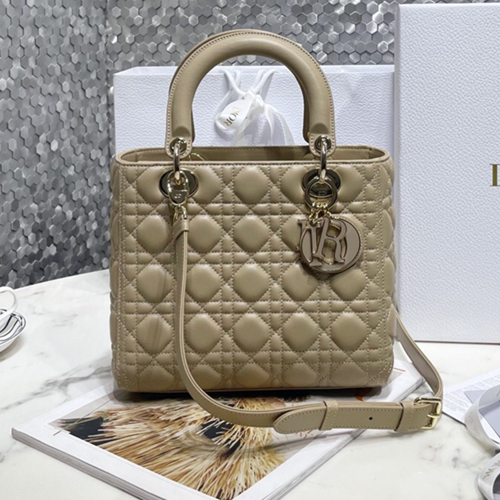 크리스챤 디올  레이디백  M0538 3가지 사이즈 LI