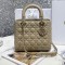 크리스챤 디올  레이디백  M0538 3가지 사이즈 LI