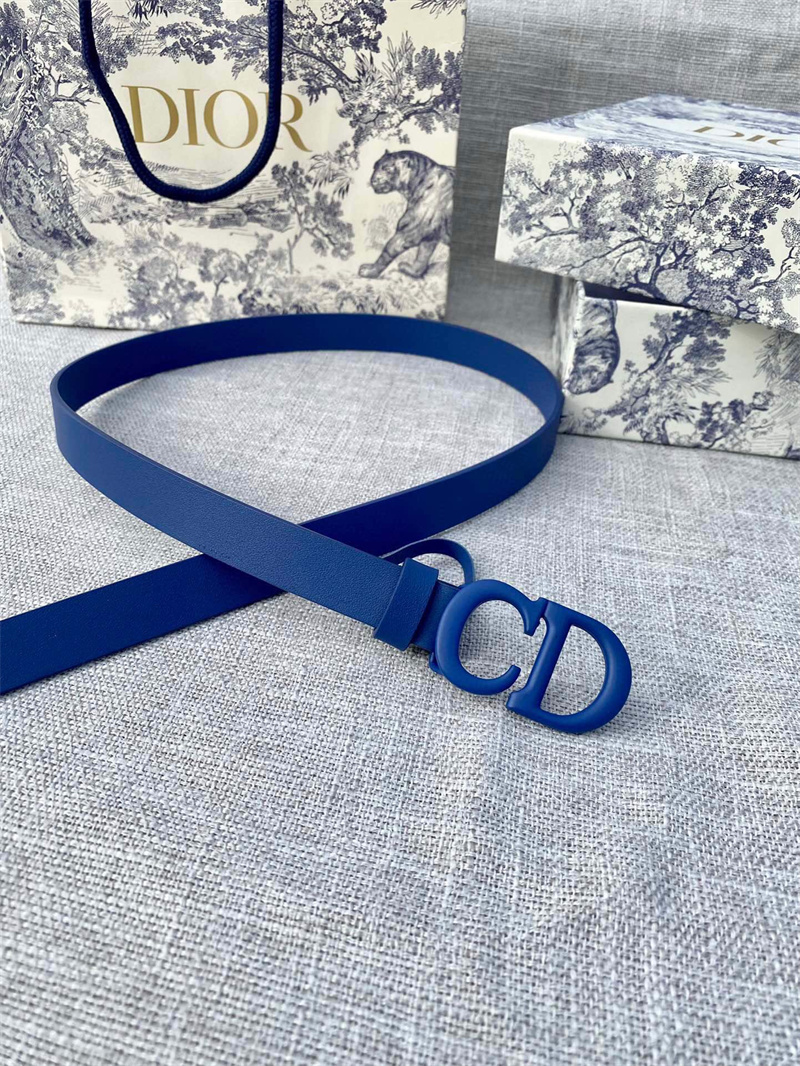 크리스챤 디올 2022 여성용 벨트 WA1358 BT1
