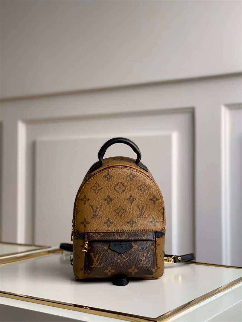 루이비통 팜 스프링스 백팩 미니 M44873 GZ