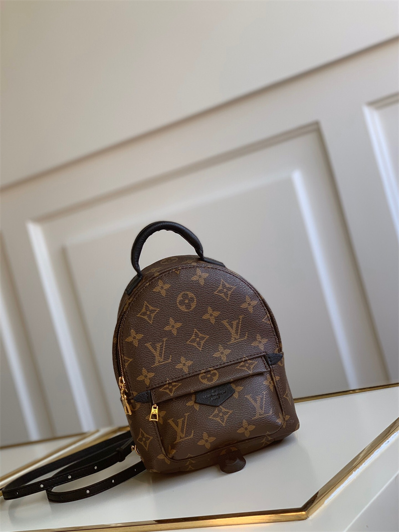 루이비통 팜 스프링스 백팩 미니 M44873 GZ