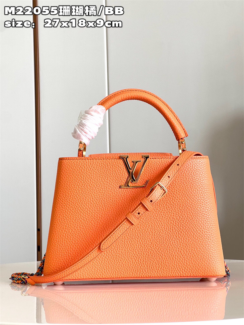 루이비통 카퓌신 스몰 M23456 GZ