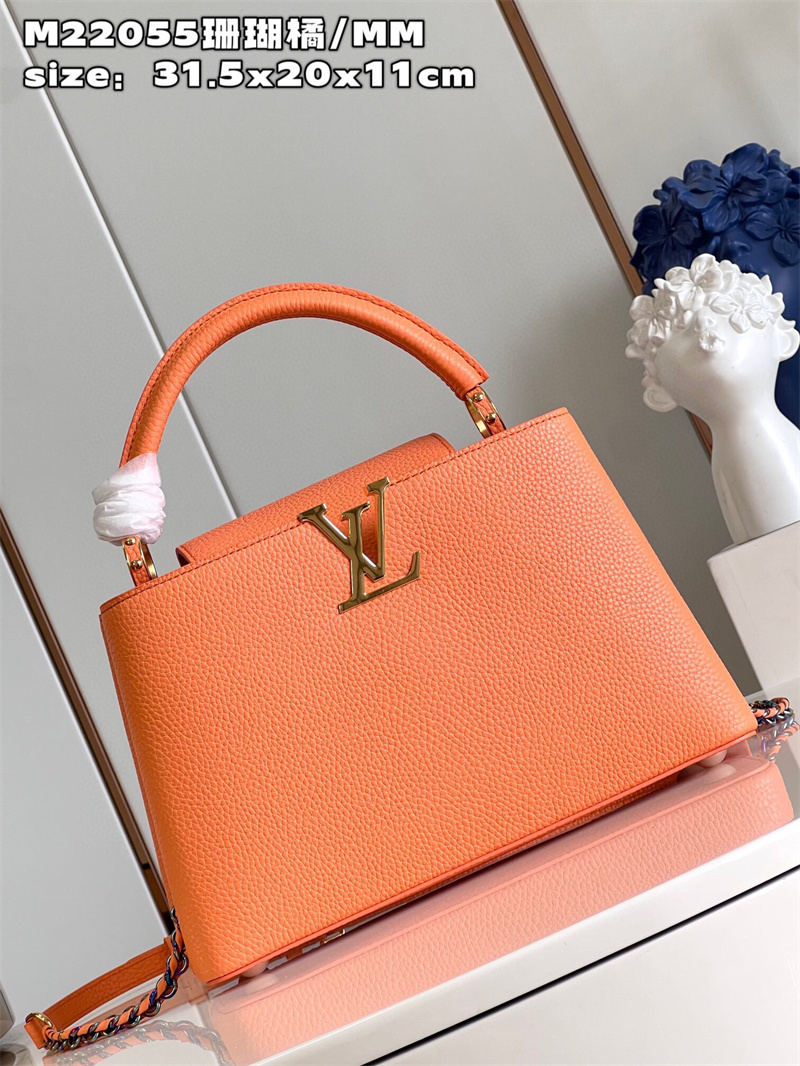 루이비통 카퓌신 미듐 M23456 GZ